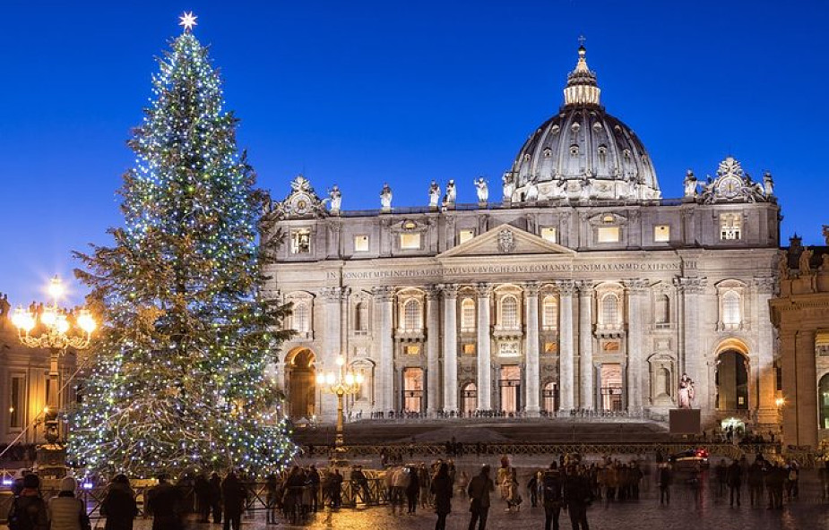 Do Watykanu przyjechała bożonarodzeniowa choinka. Pochodzi prosto z mazurskich lasów