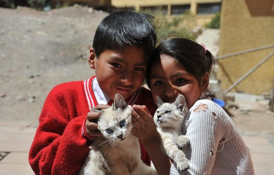 Posłano wolontariuszki na misje do Boliwii. "Tam wciąż brakuje katechetów i nauczycieli"
