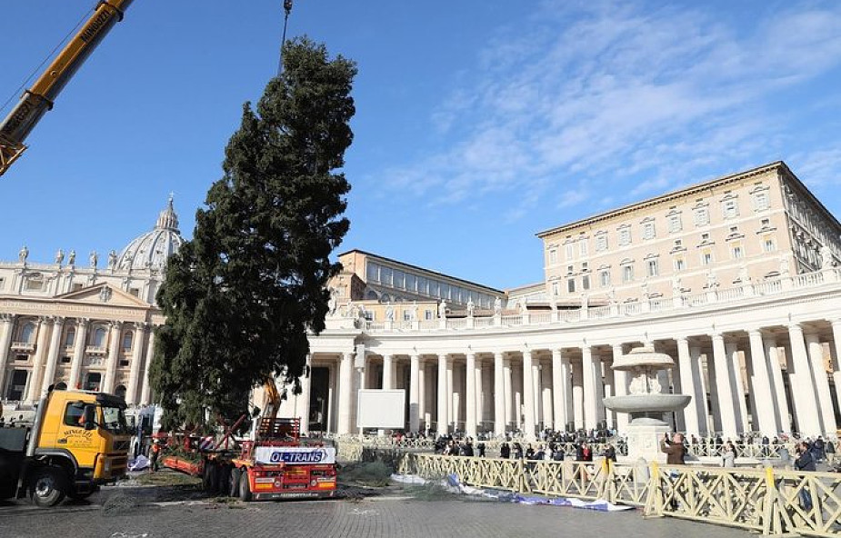 Włochy: mieszkańcy Rzymu zachwyceni polską choinką