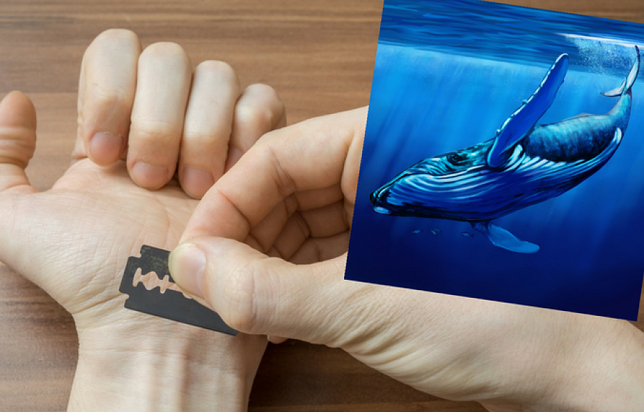 Prokuratura ostrzega: "Niebieski wieloryb" dotarł do Polski