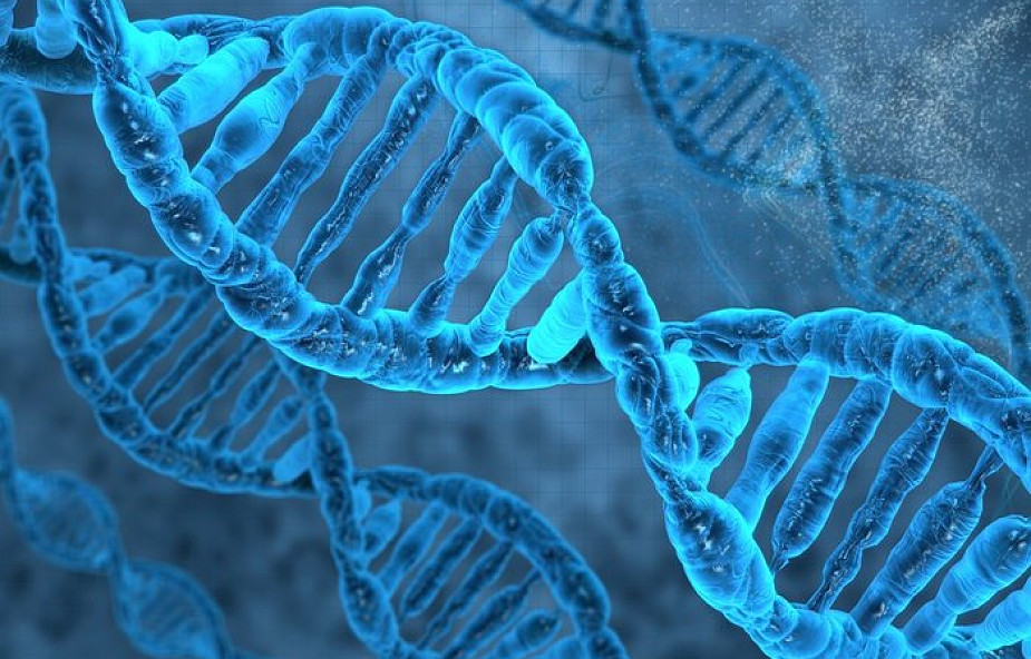 Lepiej poznano rolę szpulek, na które nawinięte są nici DNA