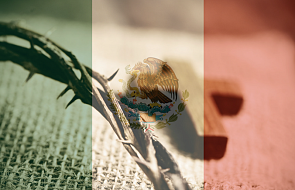 Meksyk: zamordowano kolejnego kapłana