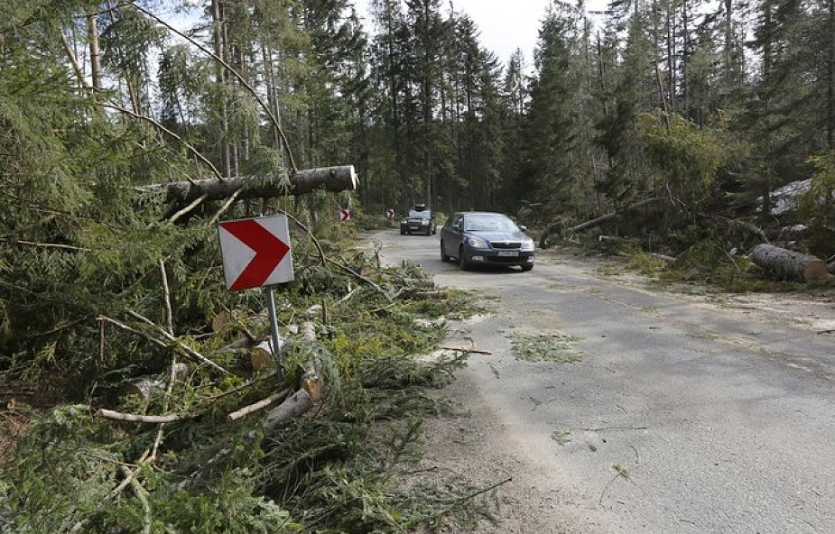 Małopolskie: halny zrywał dachy i przewracał drzewa w górach