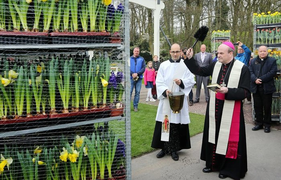 35 tys. kwiatów i roślin z Holandii przyozdobi plac św. Piotra