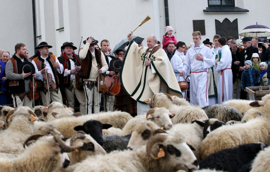 Święto Bacowskie z poświęceniem stada owiec