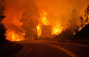 Portugalia: 58 ofiar śmiertelnych pożaru, bilans może wzrosnąć