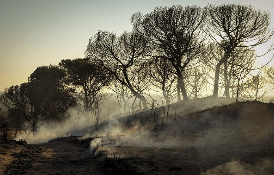 Hiszpania: śledztwo w sprawie pożarów w Andaluzji