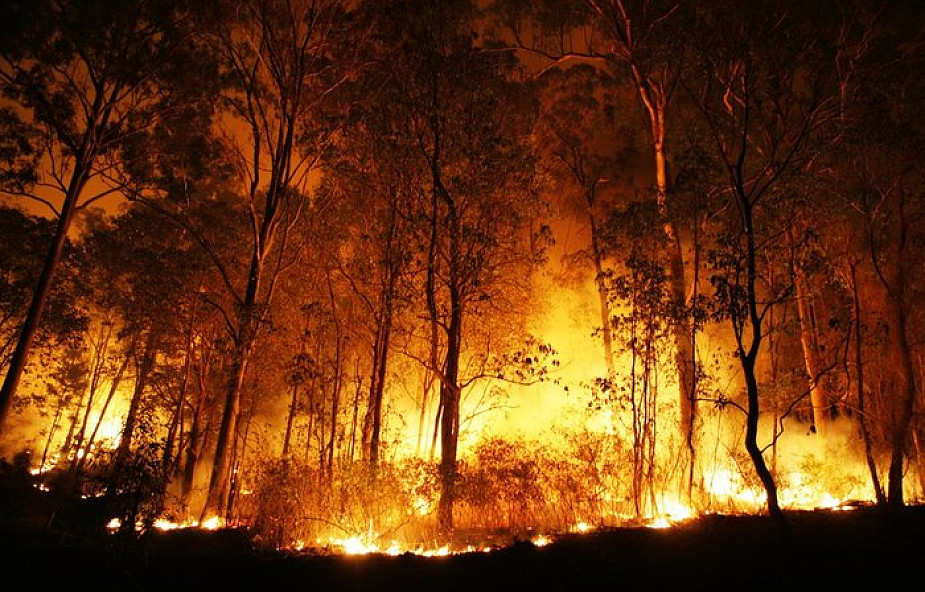 "Podpalanie lasów i pól to grzech śmiertelny"