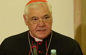 Kard. Müller przestrzega przed "kultem jednostki" wobec papieża