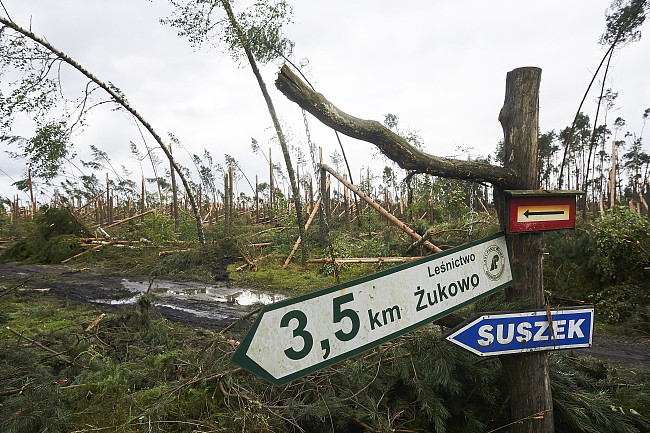 Tragedia w Suszku: burza zabiła dwoje harcerzy. ZHR ogłasza żałobę - zdjęcie w treści artykułu
