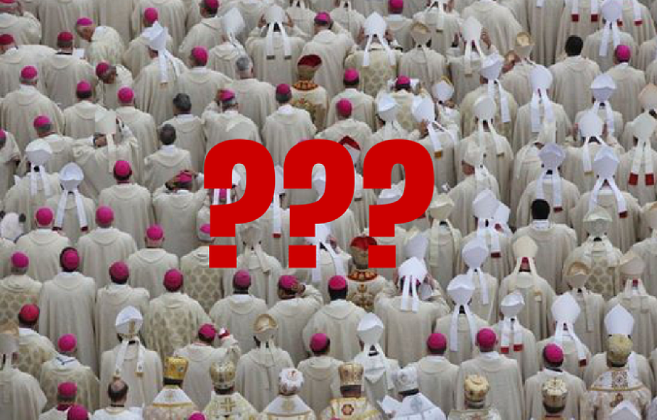 Zabawa, która wciągnęła tysiące internautów. Znajdź pandę na zdjęciu pełnym biskupów!