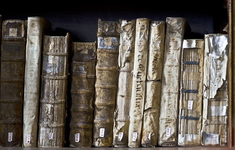 Niezwykłe biblijne znalezisko w archiwum katedralnym w Kolonii