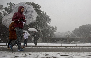 Japonia: burza śnieżna sparaliżowała Tokio. Opady potrwają do wtorku