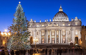 Skąd będzie tegoroczne drzewko bożonarodzeniowe w Watykanie? My już to wiemy