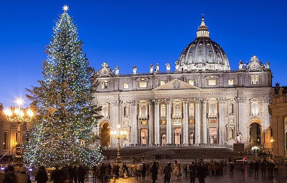 Skąd będzie tegoroczne drzewko bożonarodzeniowe w Watykanie? My już to wiemy