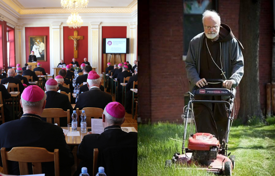 Czy polscy biskupi koszą swoje trawniki?