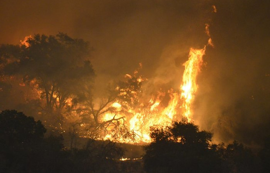 USA: Liczba ofiar śmiertelnych pożarów w Kalifornii wzrosła do 63