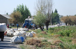 Rząd w Uzbekistanie zapobiega praktykom pracy przymusowej