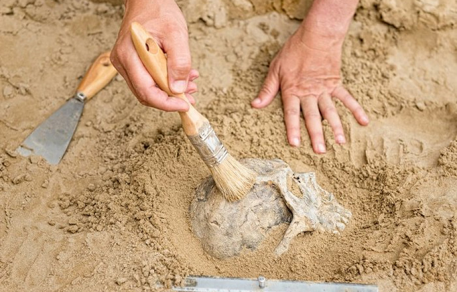 Płock: Kolejne szczątki ludzkie odkryte na terenie dawnego aresztu NKWD i UB