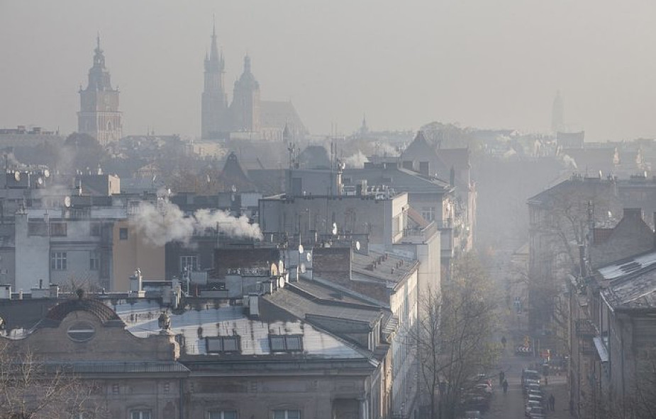 Kraków: zazielenianie dachów budynków publicznych to pomysł na więcej zieleni w mieście