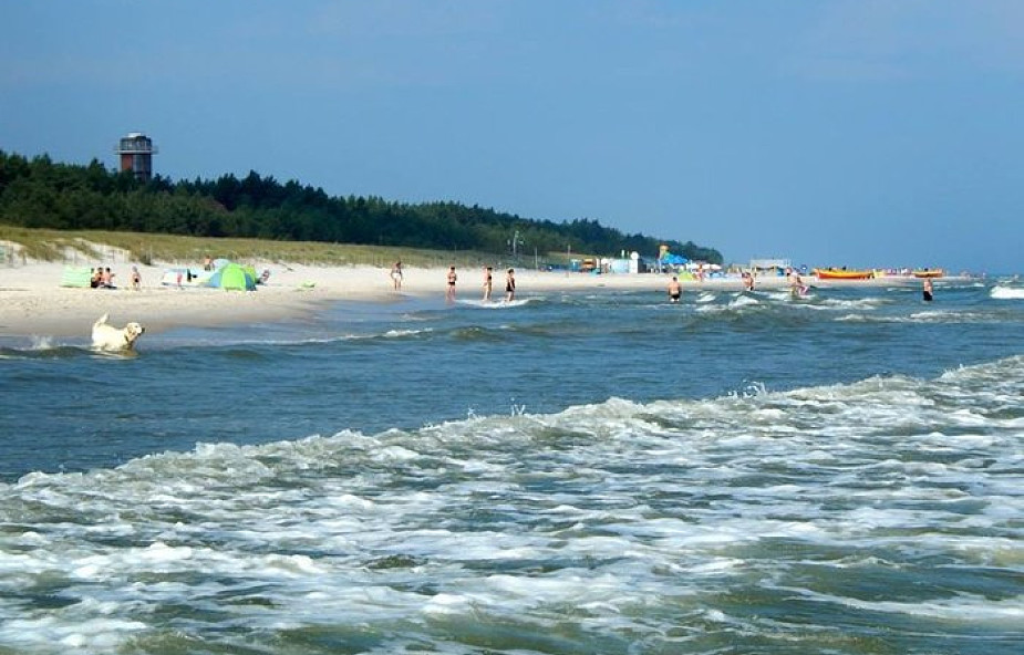 Większość plaż w Trójmieście zamknięta z powodu sinic