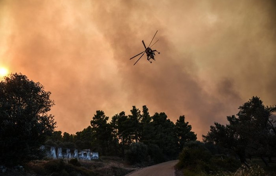 Grecja: ewakuowano dwie miejscowości na wyspie Eubea z powodu pożarów
