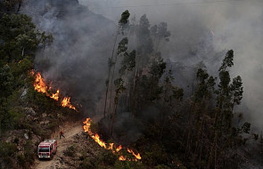 Portugalia: upały nieznacznie mniejsze, pożary trwają