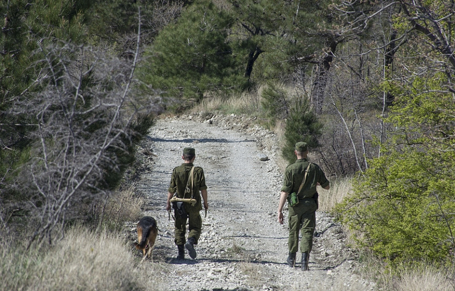 Straż Graniczna zatrzymała Albańczyków za nielegalne przekroczenie granicy; byli wcześniej deportowani