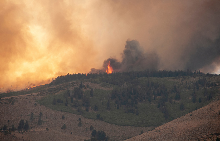 W 2018 r. rekordowo dużo krajów walczyło z pożarami lasów