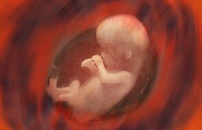 Aborcja jest złem, ale muszę skrytykować "Nieplanowane"