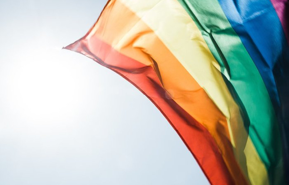 RPD do RPO: deklaracja LGBT+ może naruszać konstytucję. "Narzuca ona ogółowi rodziców ideologię"