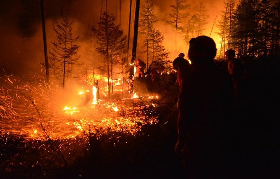Chiny: 26 osób zginęło podczas walki z pożarem lasu. Przyczyną śmierci ludzi była nagła zmiana kierunku wiatru