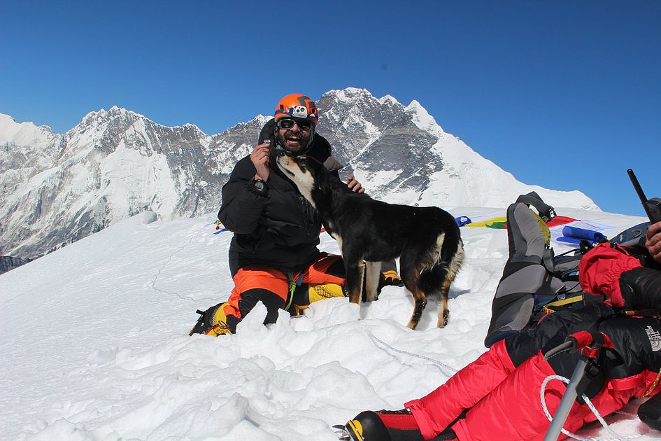 Mera zdobyła szczyt w Himalajach. Jest psem i weszła na siedmiotysięcznik - zdjęcie w treści artykułu nr 1