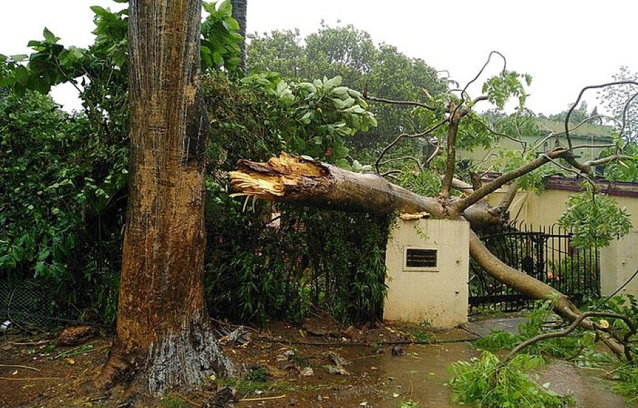 Indie: cyklon Fani uderzył we wschodnie wybrzeże