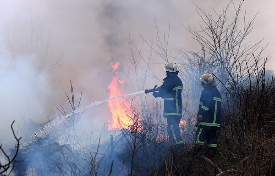 Ponad 5,3 tys. pożarów w Polsce od początku roku. Powodem coraz wyższe temperatury