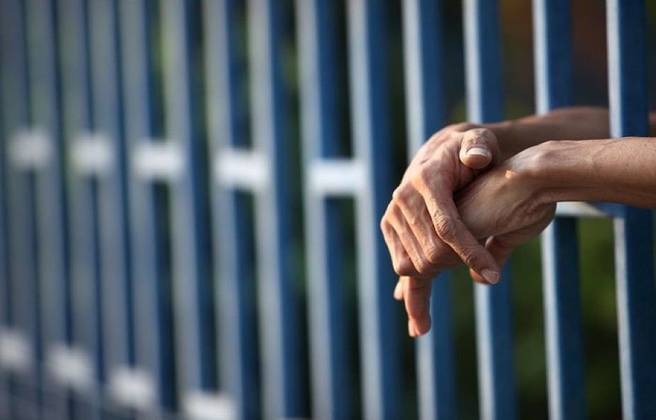 Dolnośląskie: 5 lat więzienia grozi 21-latkowi, który celowo przejechał psa
