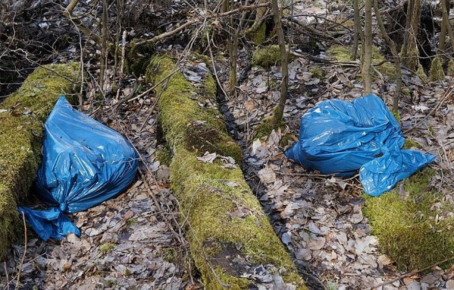 Austria: parlament uchwalił całkowity zakaz plastikowych toreb na zakupy