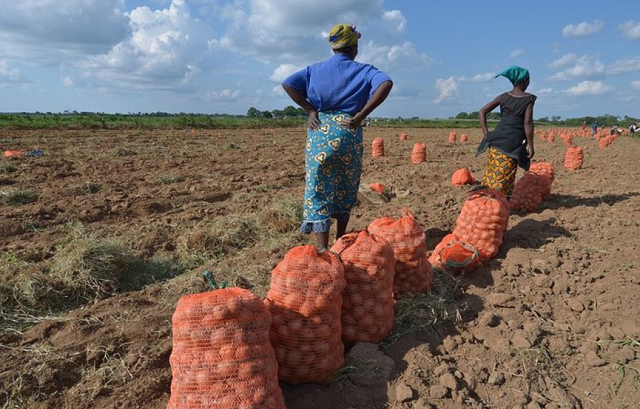 Apel o pomoc dla Zambii dotkniętej brakiem żywności