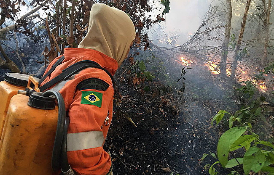 Ameryka Łacińska: biskupi wzywają do pomocy wobec pożarów Amazonii