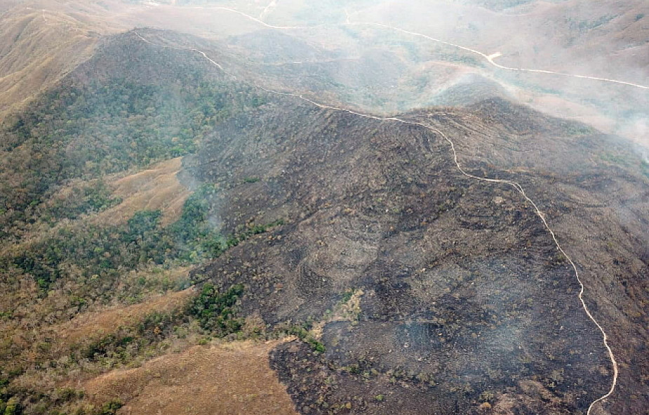 Brazylia: armia wyraziła gotowość do walki z rekordowymi pożarami