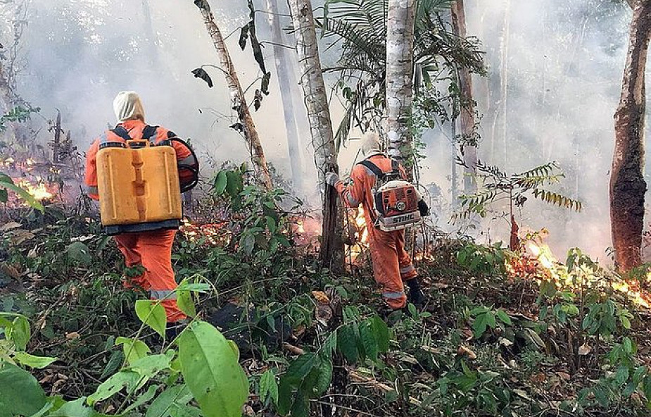 Gigantyczna skala pożarów w Ameryce Południowej. Zagrożenie dla "zielonych płuc planety"