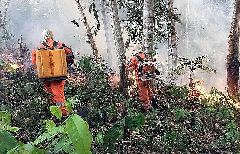 Patriarcha Bartłomiej: pożary lasów zagrażają ekosystemowi świata