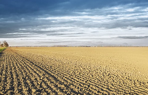 Szef KPRM o suszy: rolnicy nie będą pozostawieni sami sobie