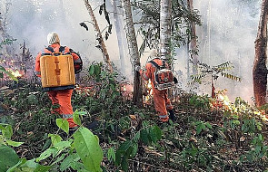 Brazylia: w związku z pożarami wprowadzono zakaz wypalania gruntów