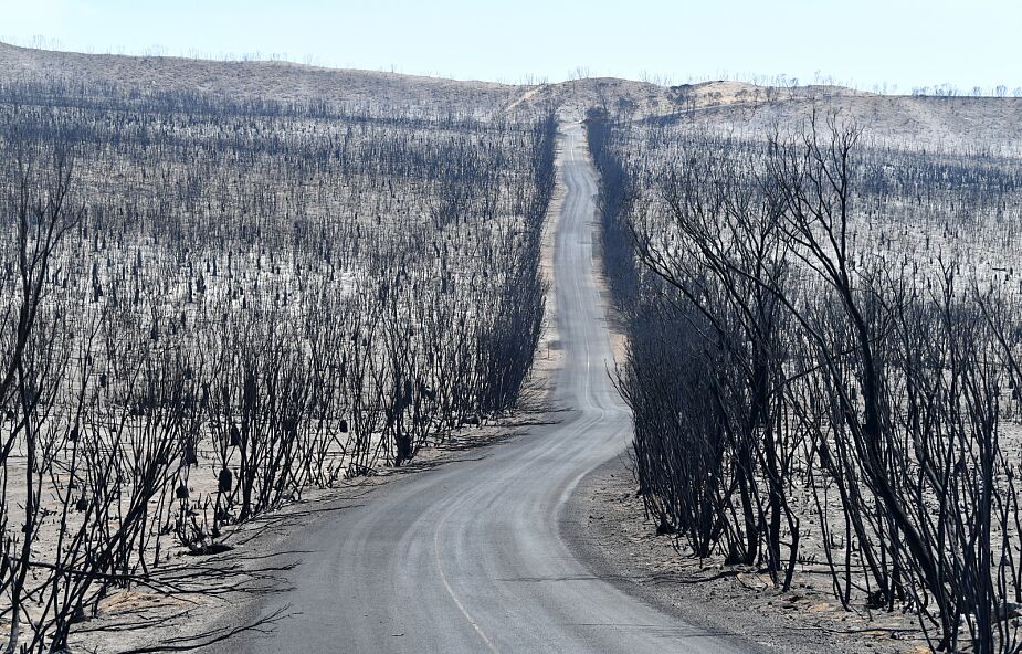 Zdjęcia pożarów w Australii wstrząsają. To prawdziwy żywioł [GALERIA]