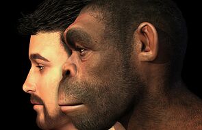 Odkryto gen neandertalczyka chroniący przed ciężkim przebiegiem COVID-19