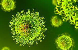 Badanie: nowy szczep koronawirusa znacznie bardziej zakaźny