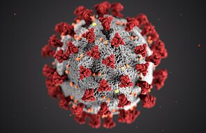 Pandemia koronawirusa. Co musisz wiedzieć? [FAKTY I MITY]