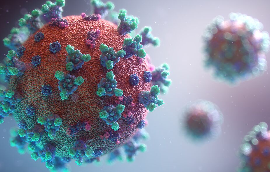 Holandia: badania krwiodawców sugerują, że 3 proc. ludności to nosiciele koronawirusa