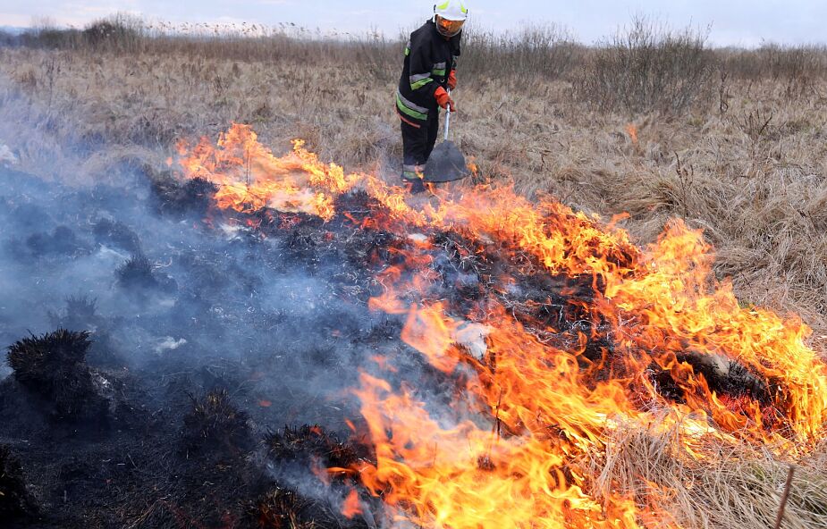 Podlaskie: kolejny dzień gaszenia pożaru w Biebrzańskim Parku Narodowym